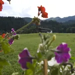 アパート Haus Schatzbergblick *