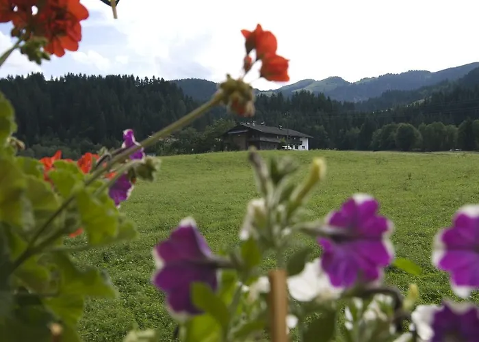 Apartment Haus Schatzbergblick *