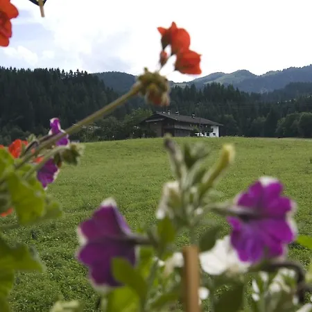 아파트 Haus Schatzbergblick *